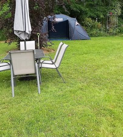 Large Family Home In Wexford Marys B&B Enniscorthy Exteriör bild