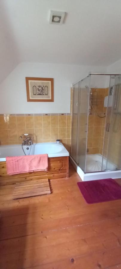 Large Family Home In Wexford Marys B&B Enniscorthy Exteriör bild