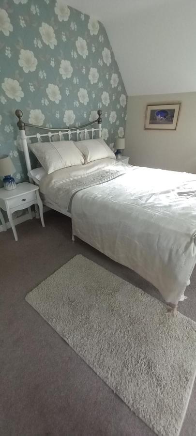 Large Family Home In Wexford Marys B&B Enniscorthy Exteriör bild