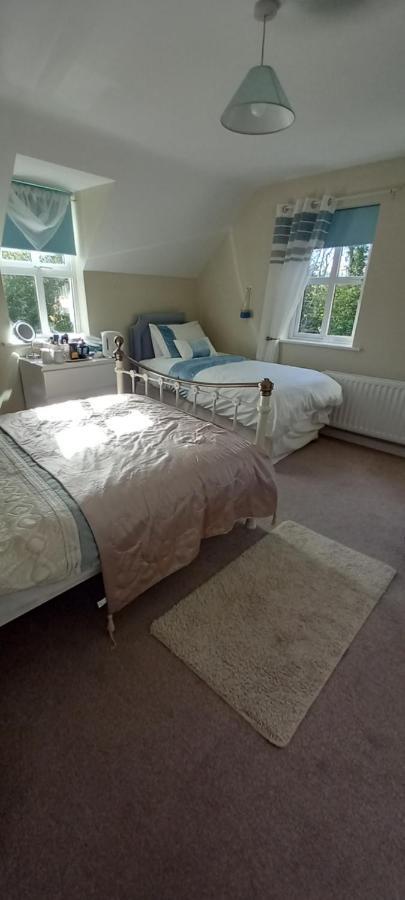 Large Family Home In Wexford Marys B&B Enniscorthy Exteriör bild