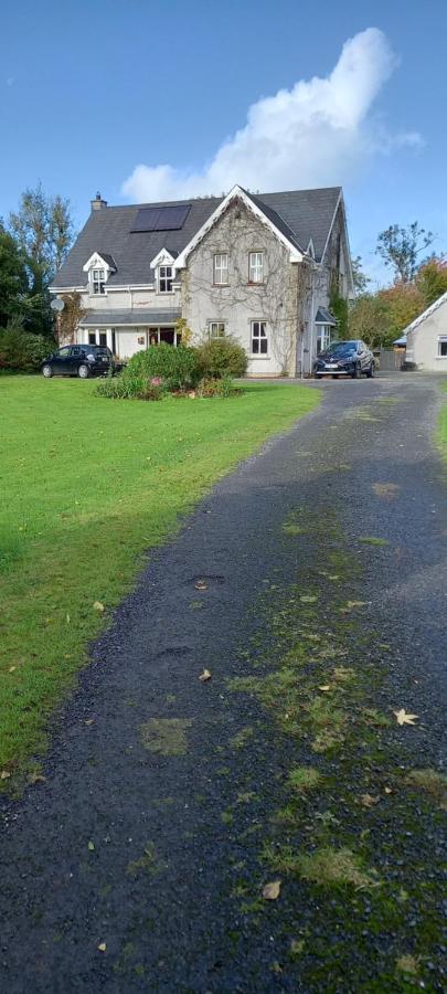 Large Family Home In Wexford Marys B&B Enniscorthy Exteriör bild