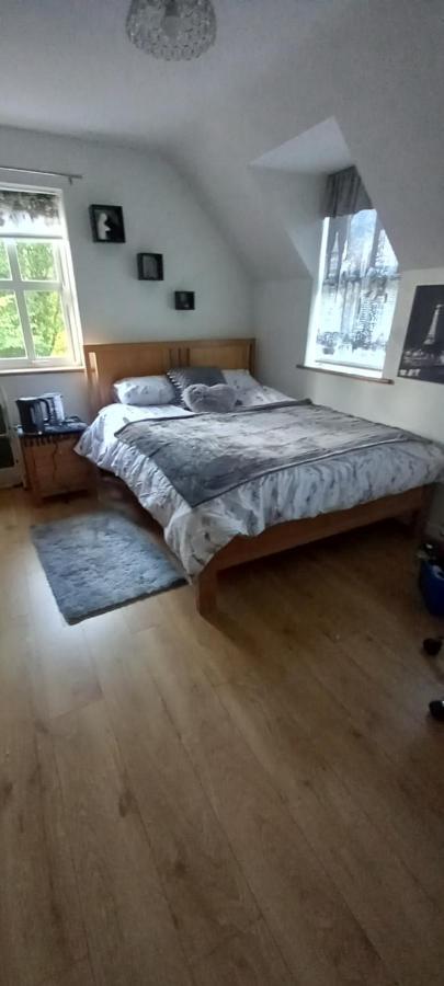 Large Family Home In Wexford Marys B&B Enniscorthy Exteriör bild