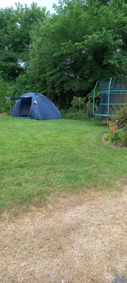 Large Family Home In Wexford Marys B&B Enniscorthy Exteriör bild