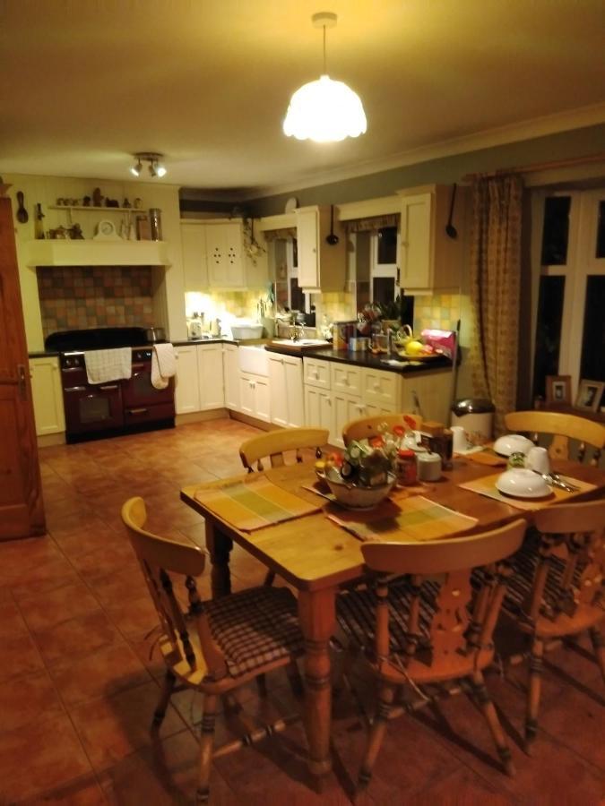Large Family Home In Wexford Marys B&B Enniscorthy Exteriör bild